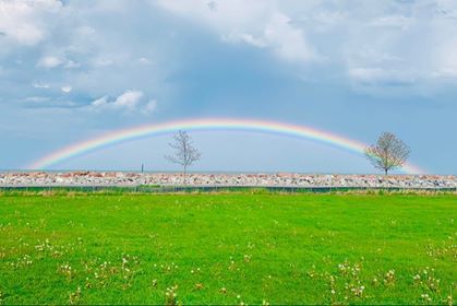 Saturday rainbow